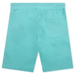 Blue Saint Michael Saint Shorts Back