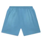 Blue Hellstar Flame Sweatshorts - Image 2