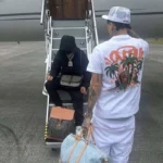 White Syna World Palm Tree T-shirt - Image 3